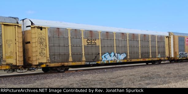 TTGX 603947 and CSX rack